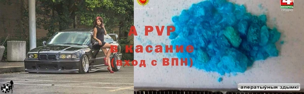 шишки Белоозёрский