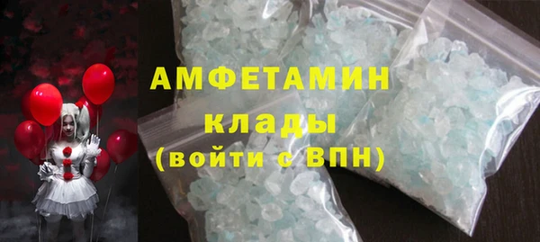 шишки Белоозёрский