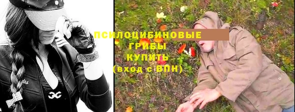 шишки Белоозёрский