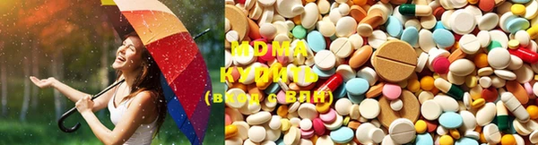 шишки Белоозёрский